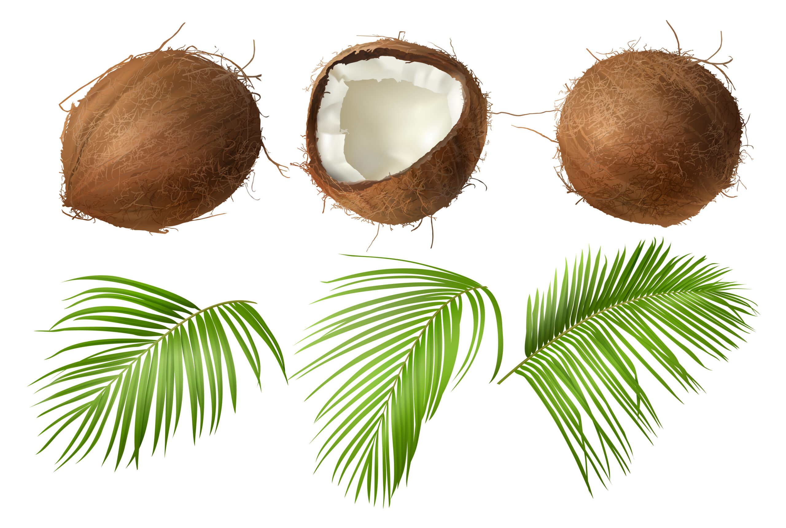 7 Creative Ways to Use Coconut Oil in Your Health and Beauty Regimen